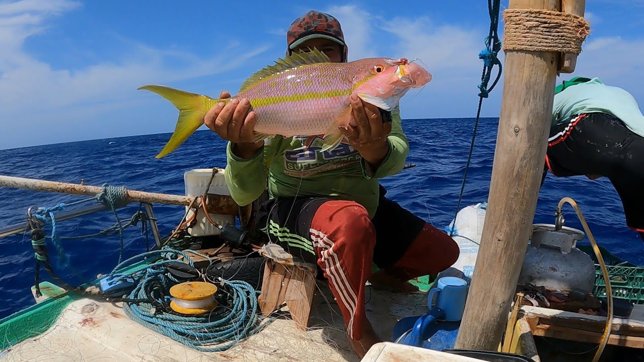 fizemos uma boa pescaria muito peixe guaiuba (Guerreiro da pesca)