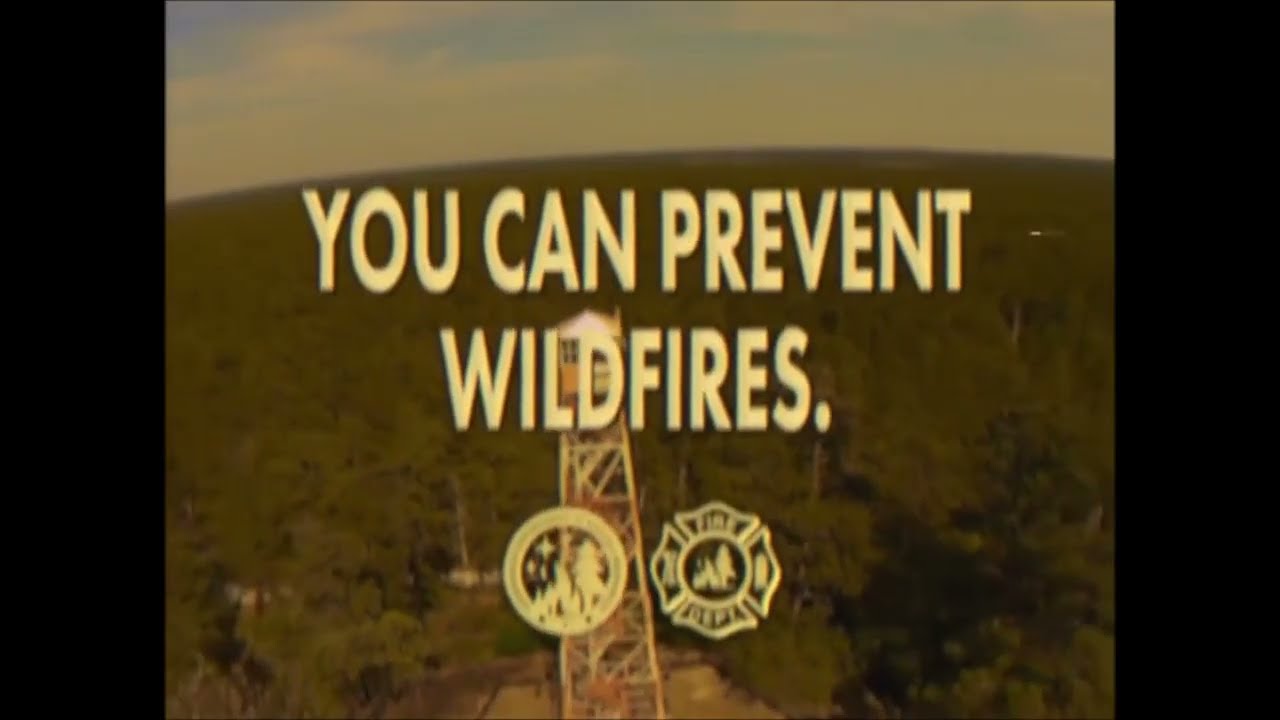 猫 シ Corp. : NEWS AT 11 : WEATHER CHANNEL 4