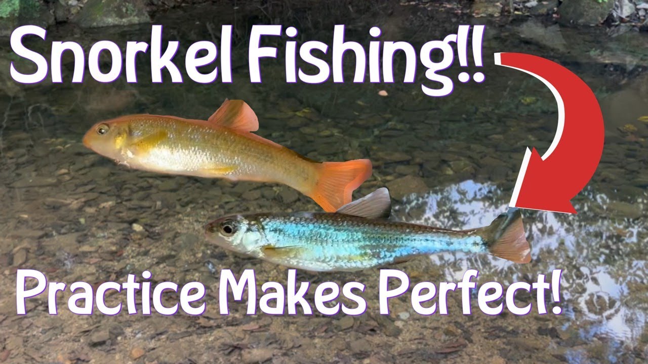 My FIRST Time SNORKEL FISHING!! Multi-Species Fishing, Chester County, Pa! (Underwater Footage!)