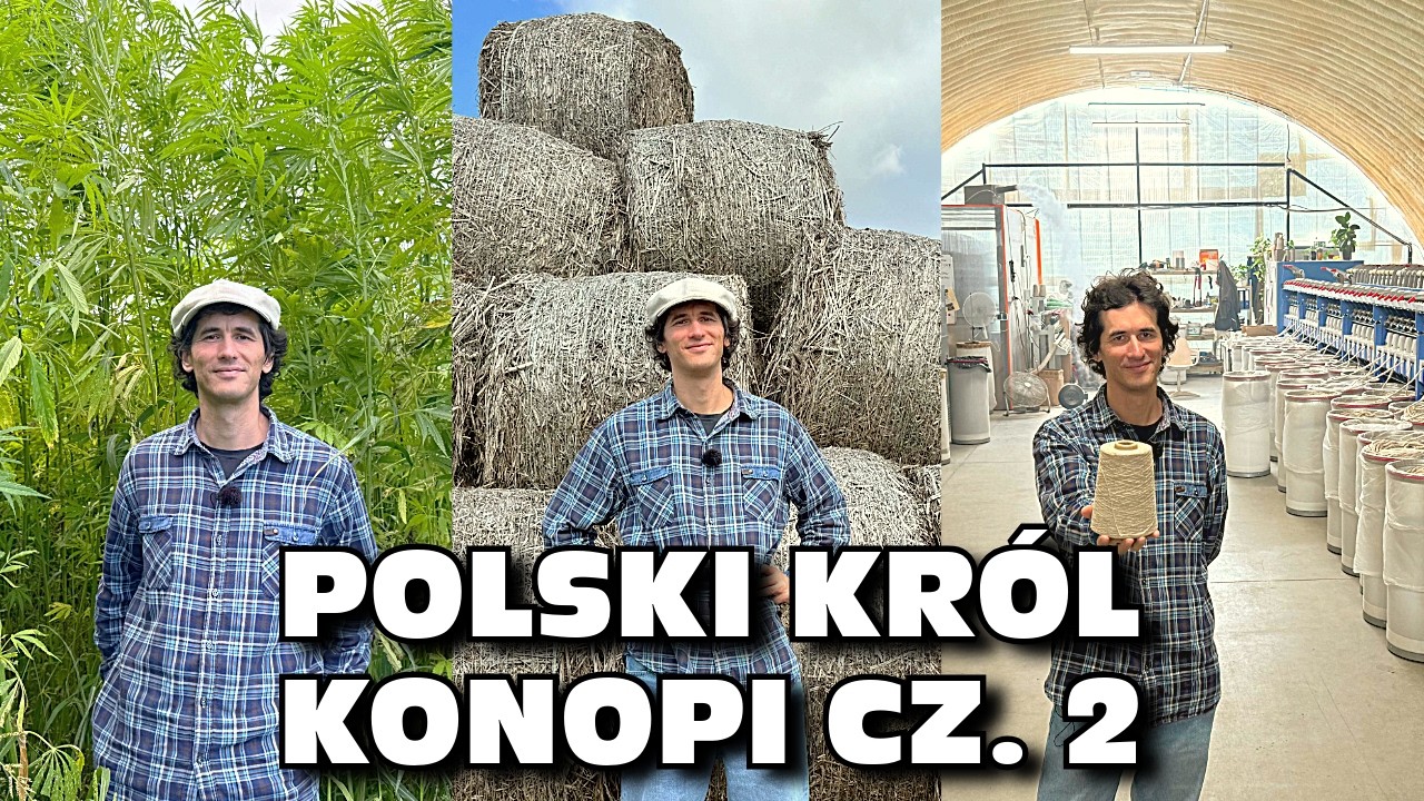 Wytwarzanie tekstyliów w Polsce z konopi - Od ziarenka do wieszaka - „Polski król konopi” cz. 2