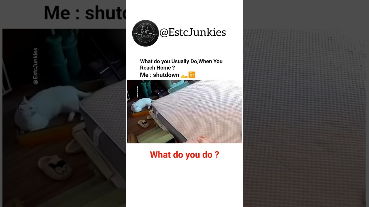 😂😂 #friday #shutdown #close #start #party #weekend #dance #sleep #repeat