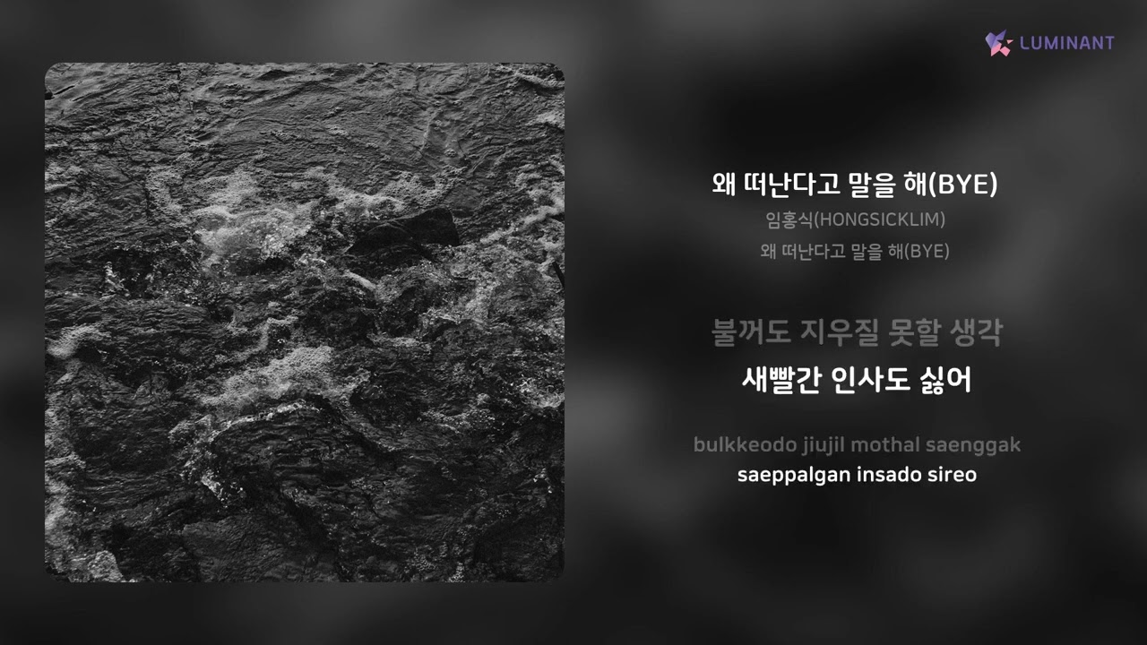임홍식(HONGSICKLIM) - 왜 떠난다고 말을 해(BYE) | 가사 (Lyrics)