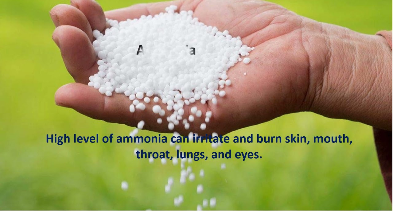 Chemical Health Hazards in Fertilizer Industry
