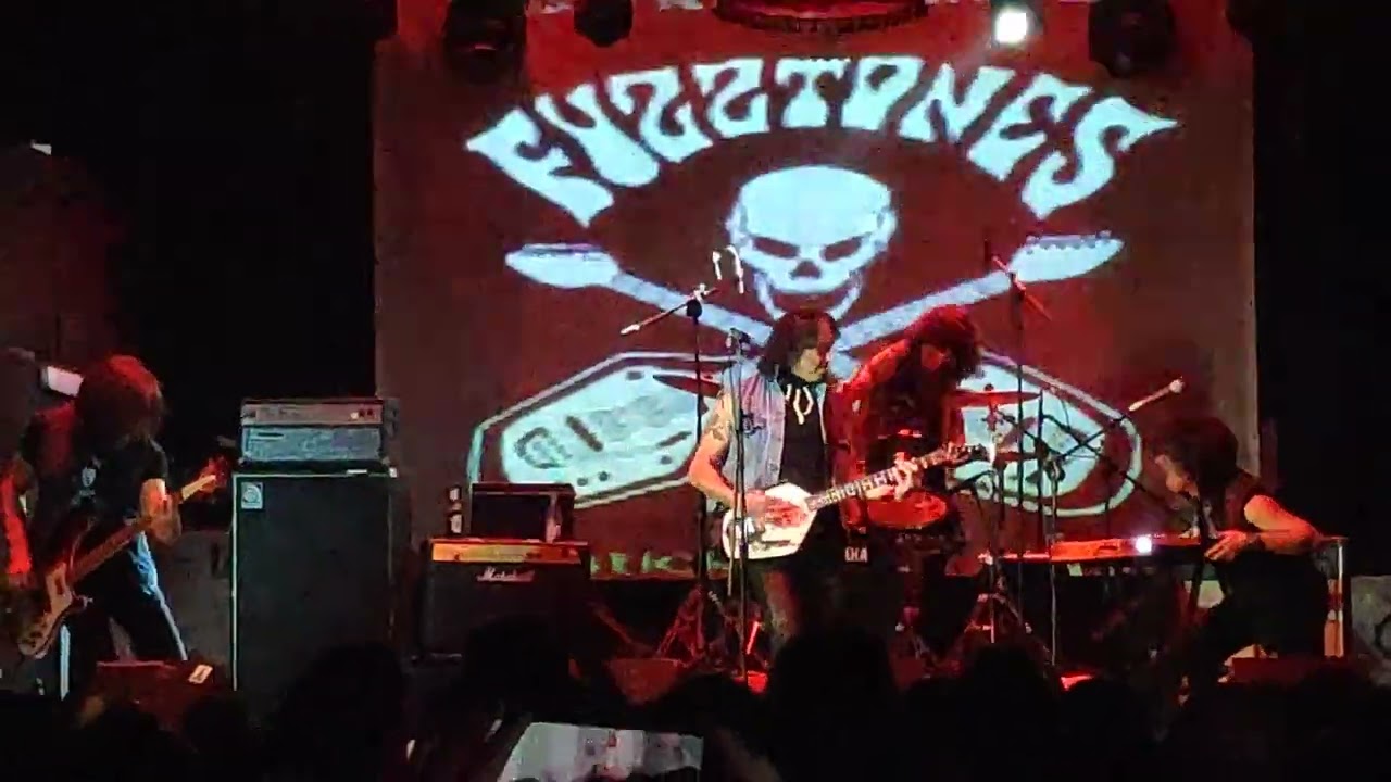 The Fuzztones 