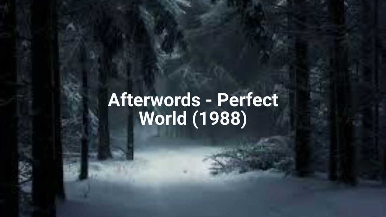 Afterwords - Perfect World (1988)