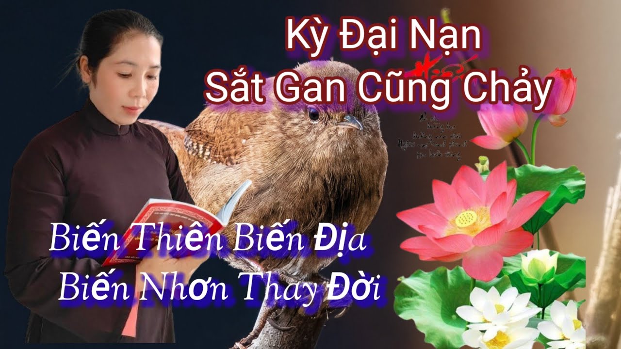 🙏Thuyền To Một Chiếc Sấm Ra , Tất Nhiên Trở Hết Cả Nhà Xuống Đi 😄