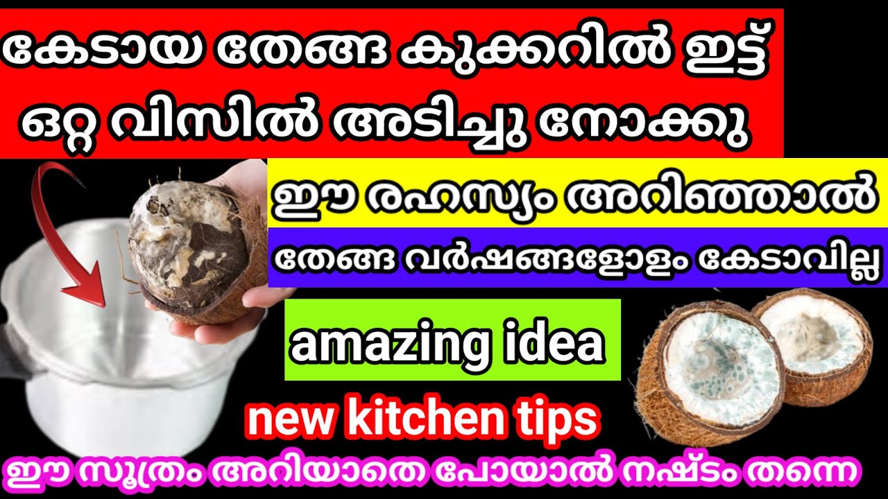 കേടായ തേങ്ങ കുക്കറിൽ ഇട്ട് ഒറ്റ വിസിൽ സംഭവിച്ചത് കണ്ടോ ഈ രഹസ്യം അറിയാതെ പോവല്ലേ/amazing tips&tricks