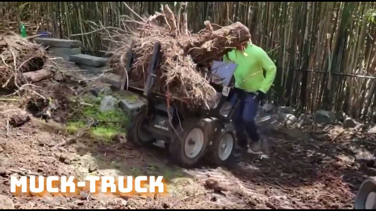 Muck-truck Flatbed moving Stump