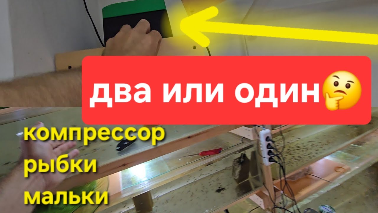 Хватит двух или лучше один?