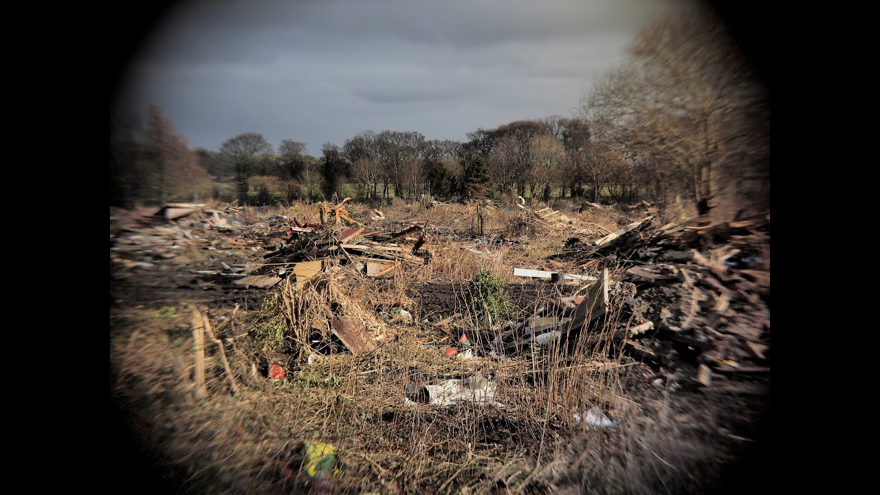 Sheds And Forgotten Dreams