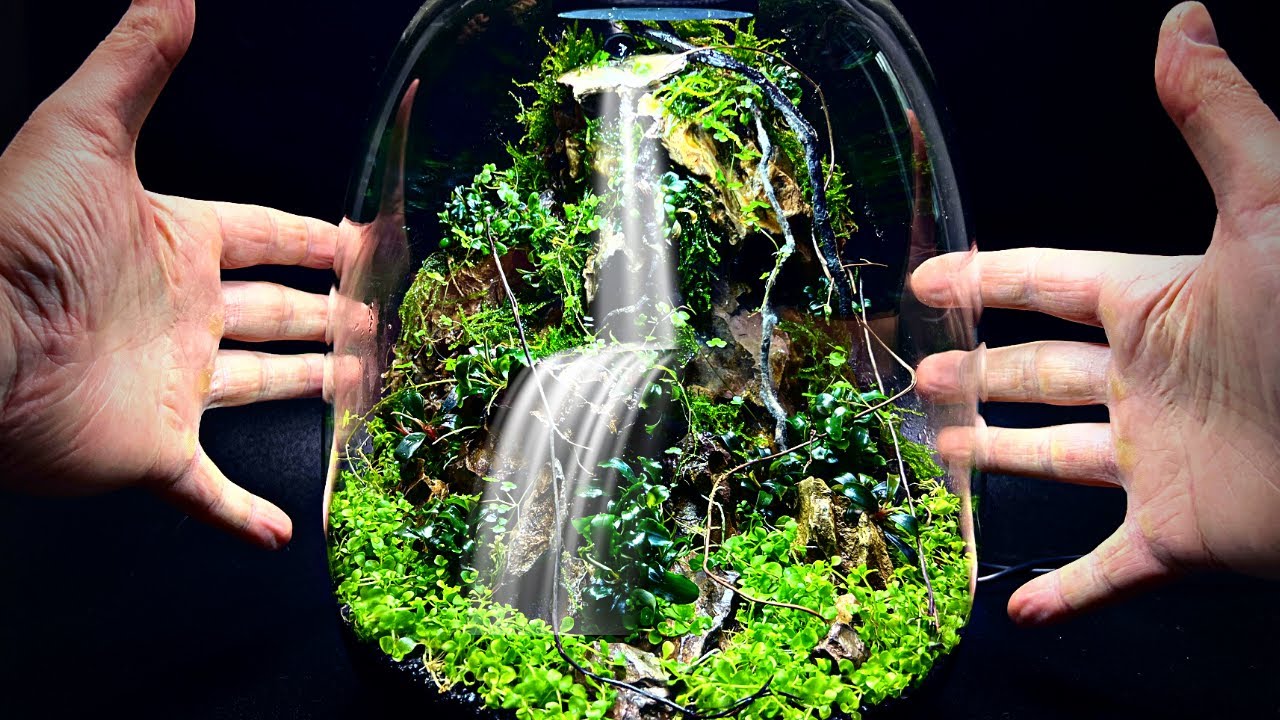 Mini Waterfall Terrarium Anyone Can Make!