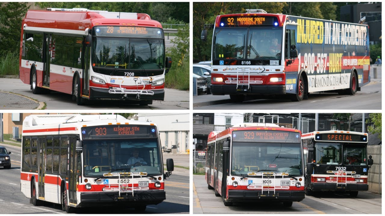 (Compilation) TTC Bus Action August-Early September 2023