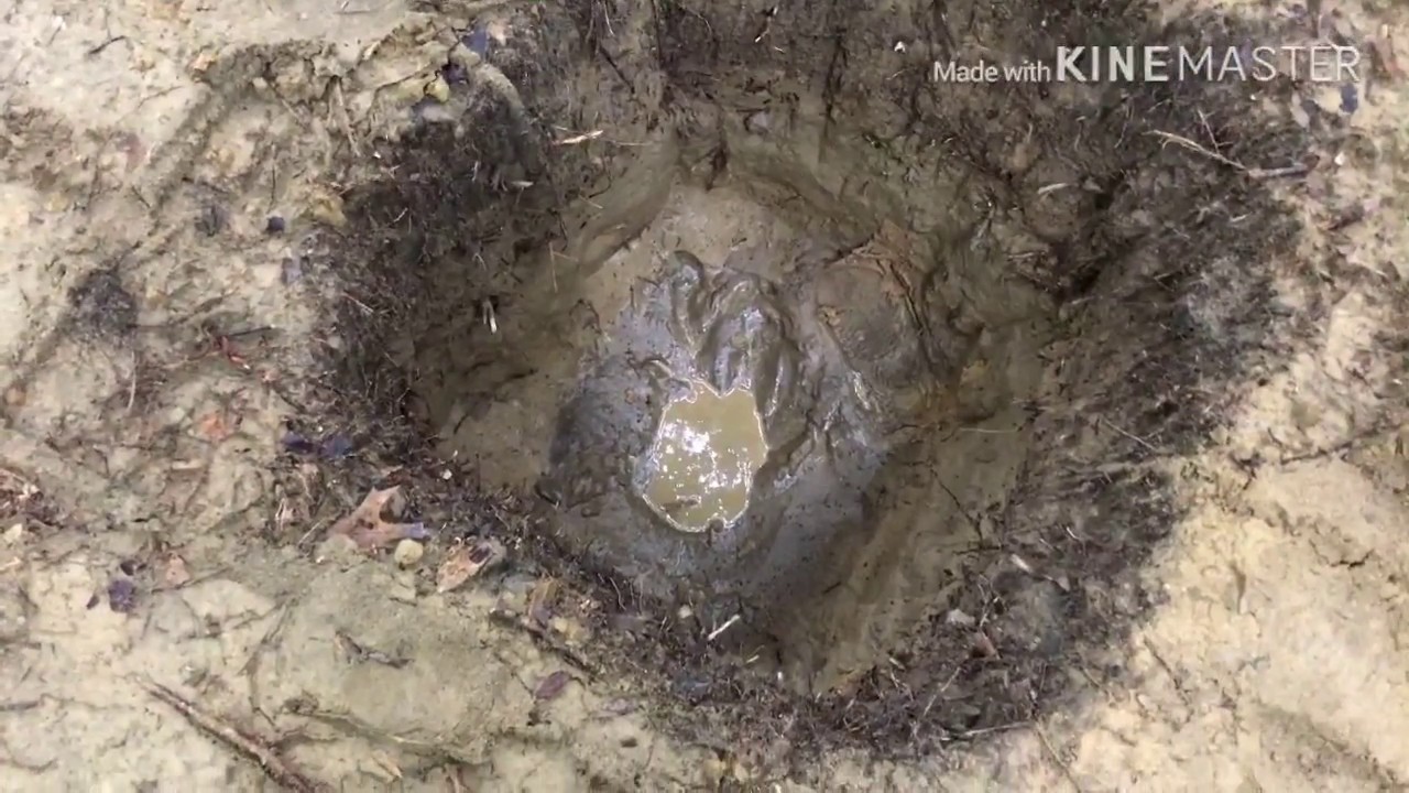 Making a Vietnam spider hole