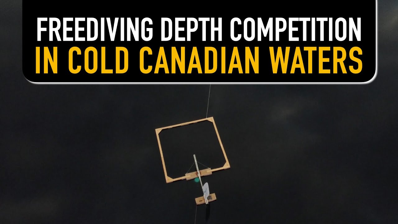 Freediving Competition Explained by Freediver