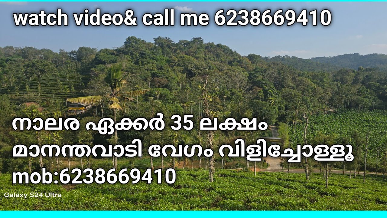 4.50 ഏക്കർ തേയില തോട്ടം 360° വ്യൂ ലഭിക്കുന്ന സ്ഥലം റിസോർട്ടിന് അനുയോജ്യമായ സ്ഥലം മാനന്തവാടി 