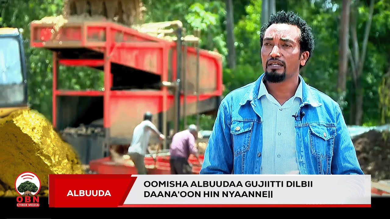 Oomisha Albuudaa Gujiitti || Dilbii daana'oon hin nyaanne||