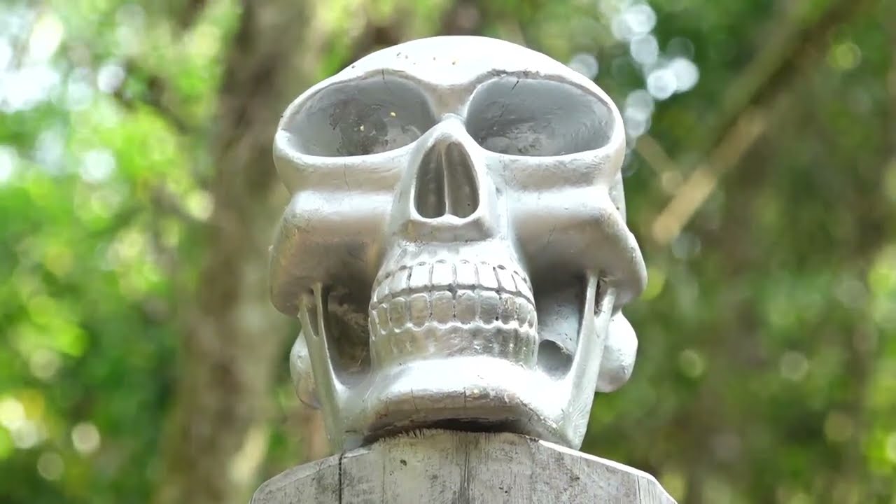 Exposition « N.Art.Urel » dans la Forêt Classée de Pahou : Patrice TALON, l'invité surprise