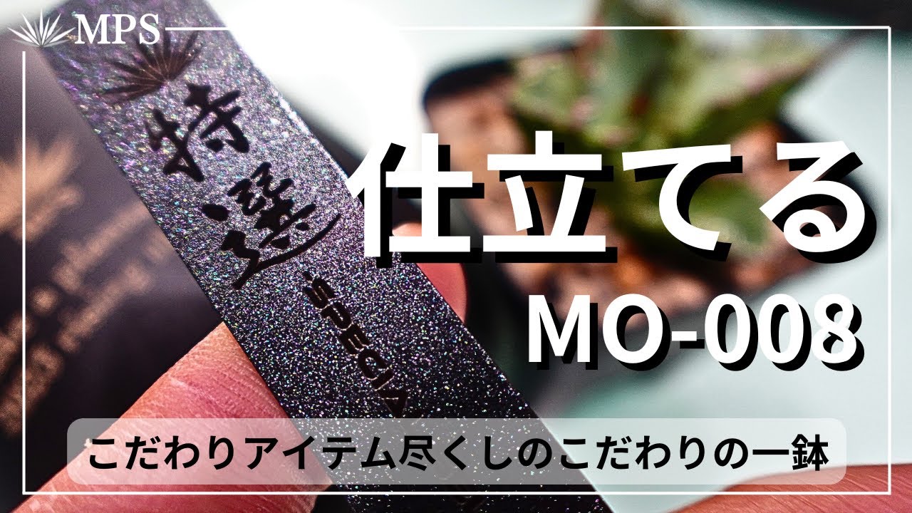 【アガベ】実生選抜株をこだわりアイテムで仕立てる動画。植替え風景。