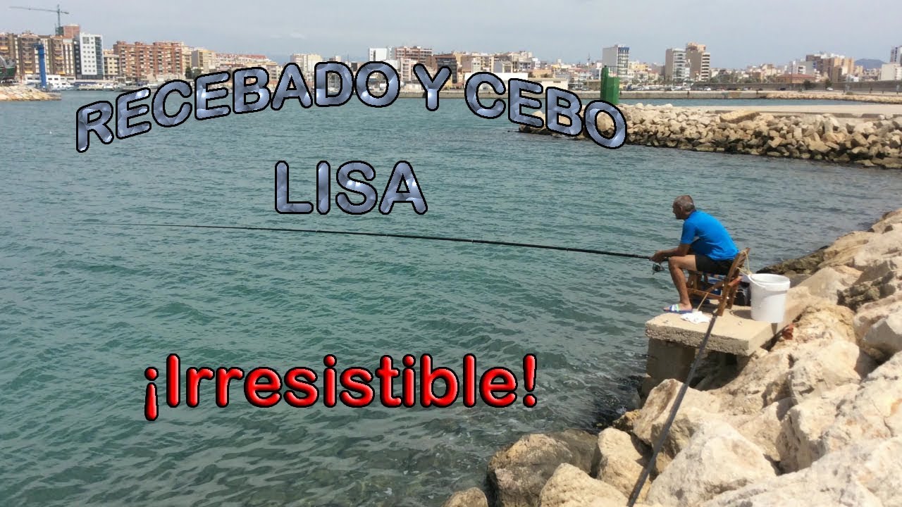 Recebado, masilla y cebo para pescar lisas en la modalidad de corcheo mar. EFICAZ e INFALIBLE