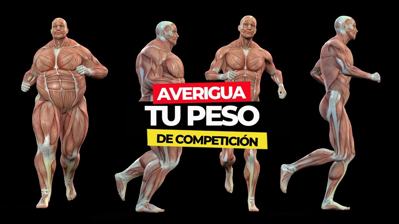 Averigua tu PESO de COMPETICION