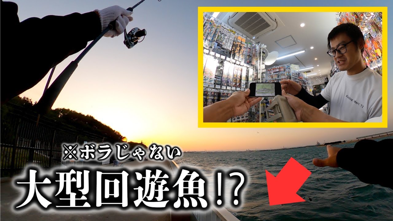 【碧南海釣り公園】『&ldquo;30cm級の回遊魚&rdquo;が釣れている⁉︎』【初心者】でも釣れる仕掛けとコツを徹底解説