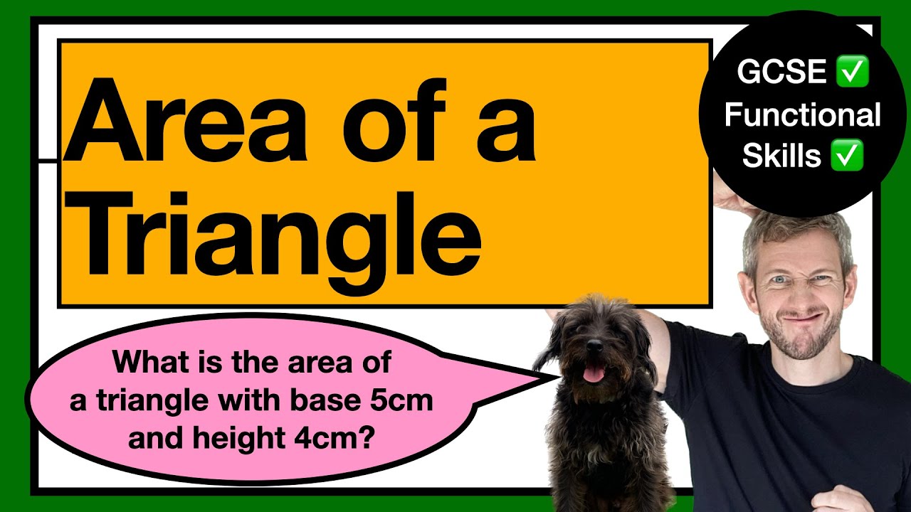 42. AREA: Triangle