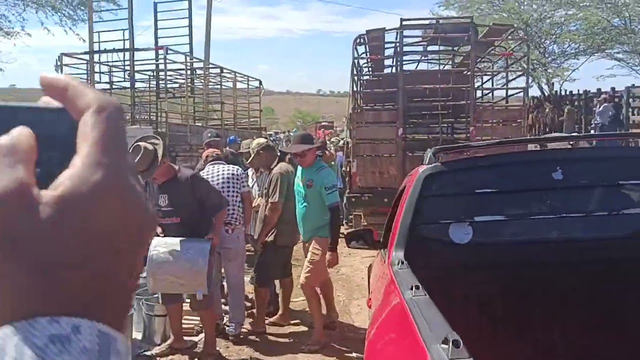 NA FEIRA DE GADO DE TABIRA.
