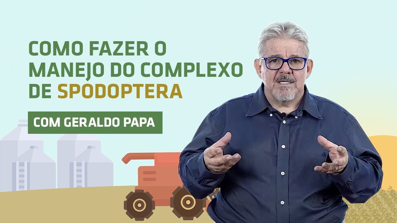 O manejo do Complexo de Spodoptera