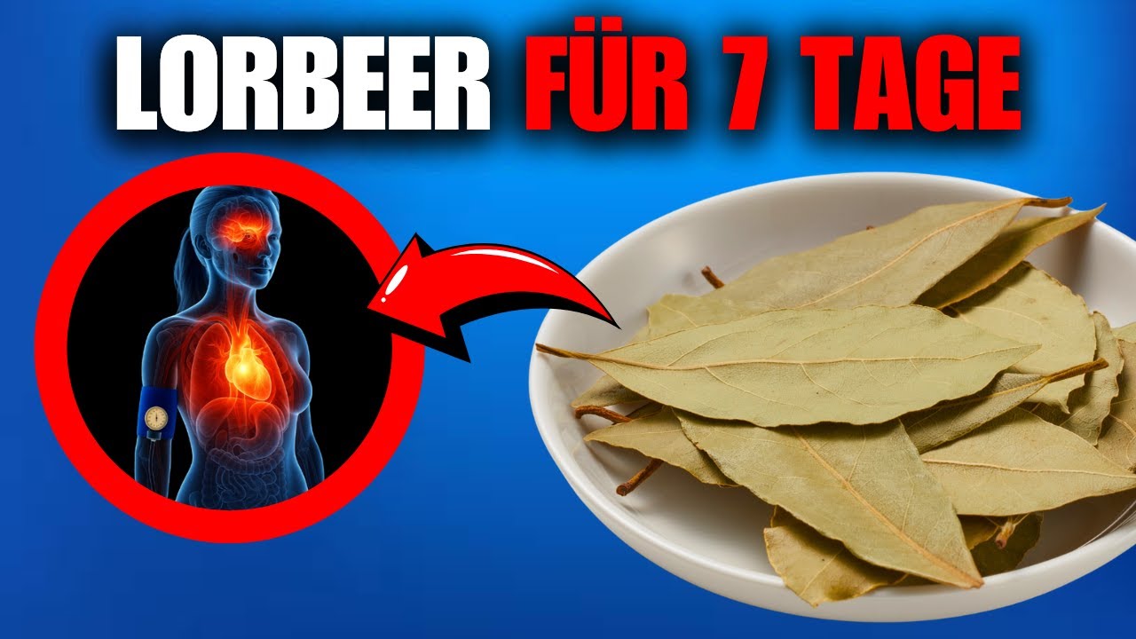 NUR 7 TAGE MIT LORBEER… UND DAS ERGEBNIS IN IHREM KÖRPER IST UNGLAUBLICH!