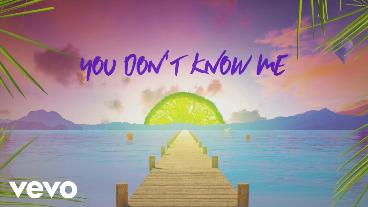 Sigala, Shaun Frank, Flo Rida - You Don't Know Me (Lyric Video) ft. Delaney Jane
