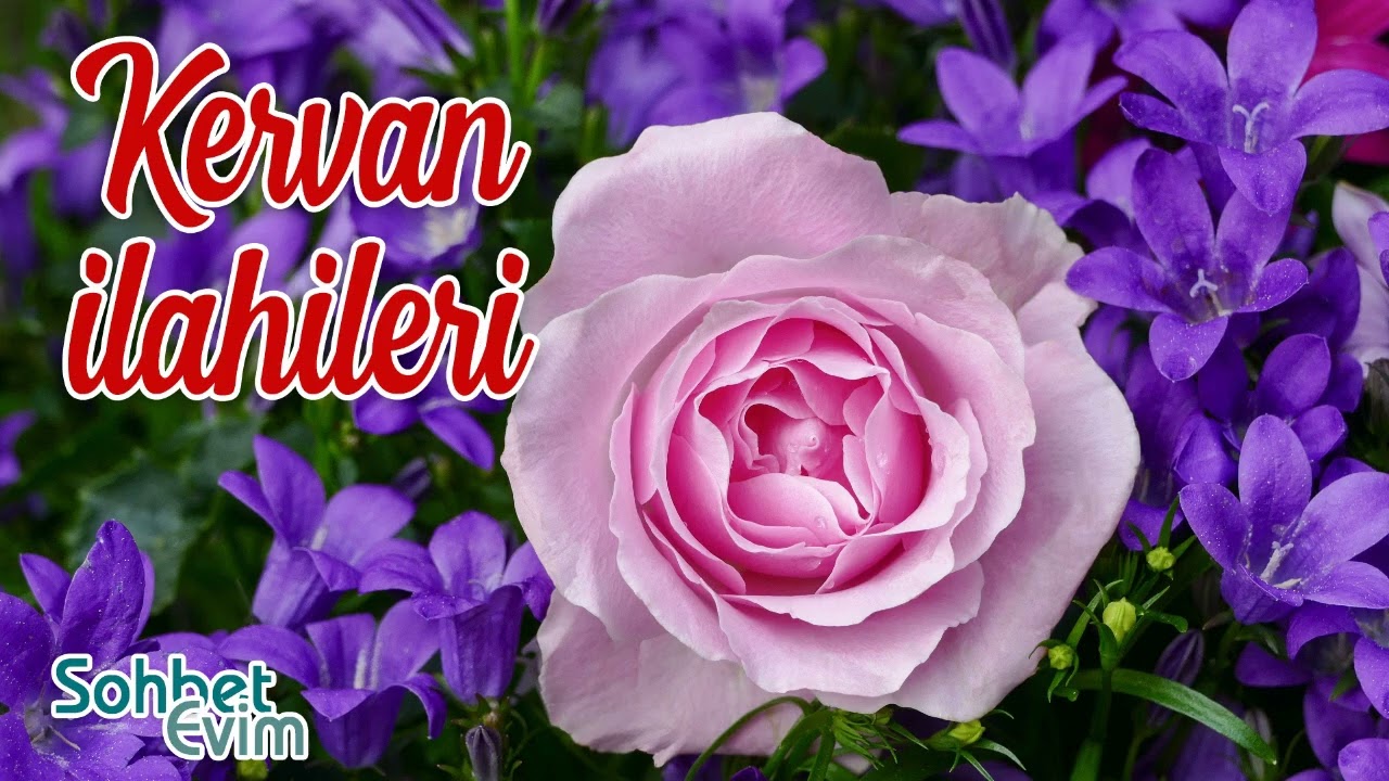 Kervan İlahileri 💖 Sevilen İlahiler 💖 En Güzel İlahiler 💖 Karışık İlahiler