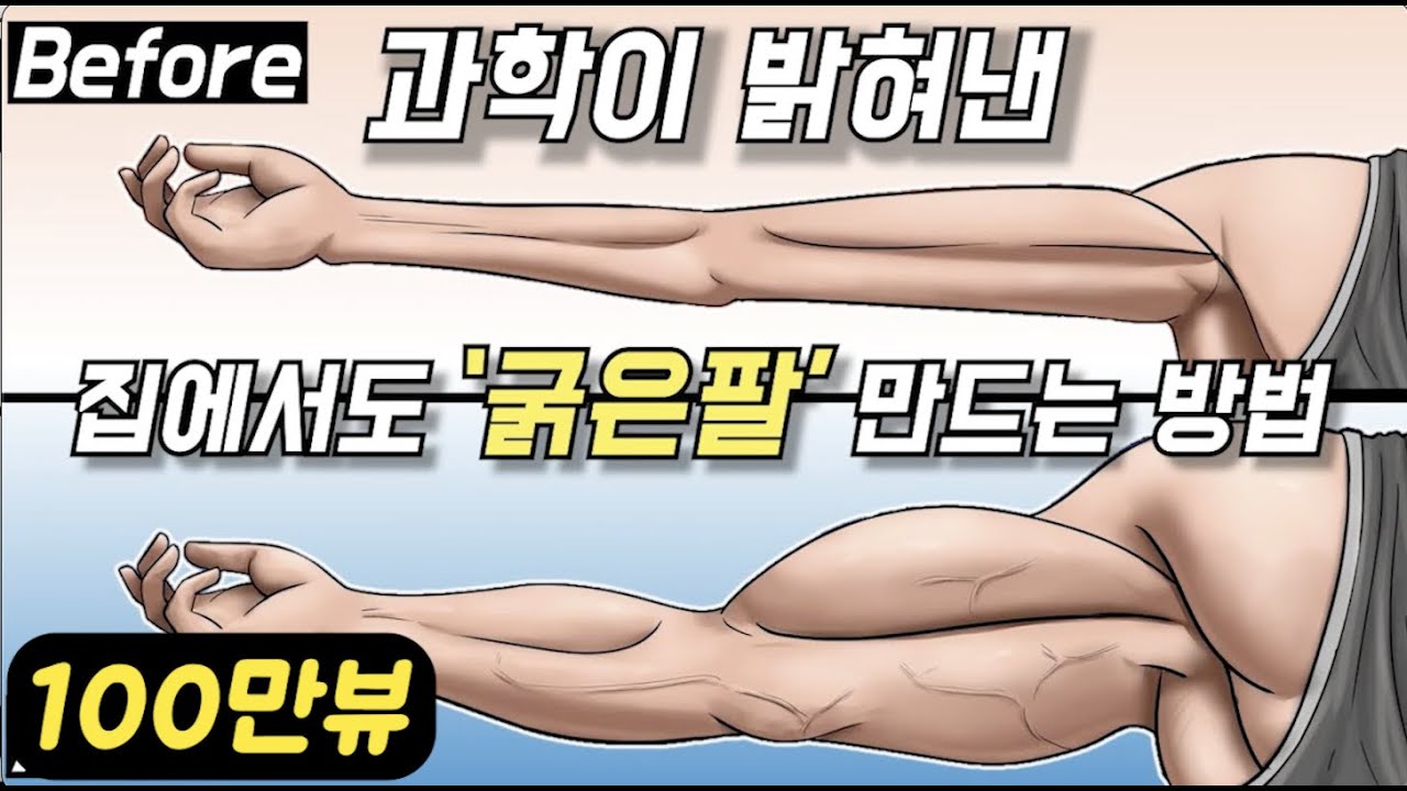 과학으로 입증된 집에서도 '굵은 팔' 만드는 최고의 방법 !!