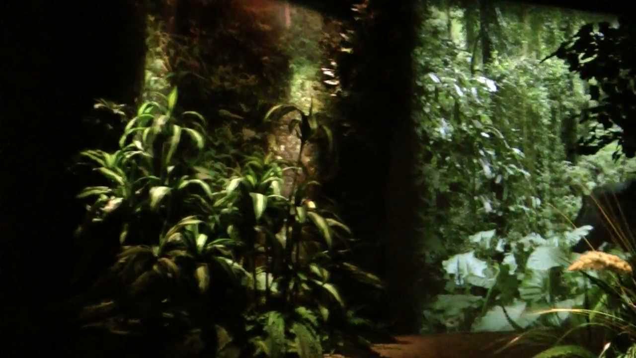 Bootsfahrt durch Gondwanaland im Zoo Leipzig