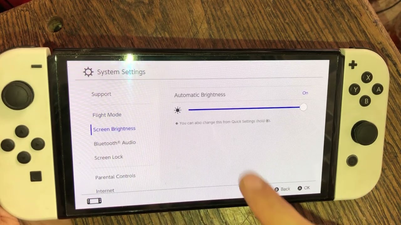 Turn off auto brightness in Nintendo Switch