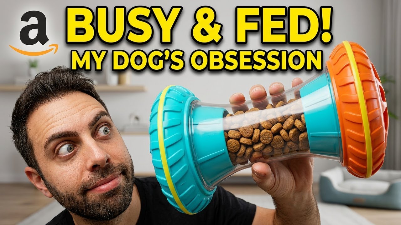 BoYoYo Interactive Dog Puzzle Toy | Daily Slow Feeder That Actually Keeps My Dog Engaged #puppy