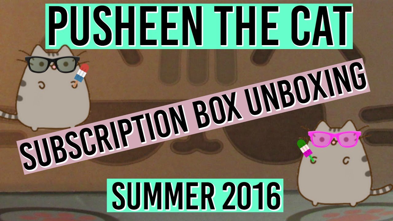 SUMMER PUSHEEN The CAT KAWAII Subscription Box Unboxing! Beach! 2016