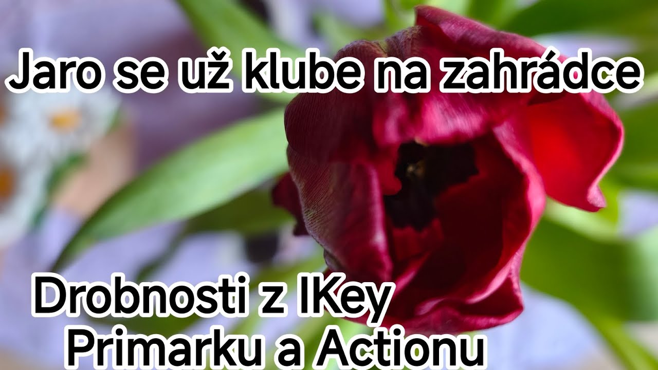 ❤️ Zahrádka se už pomalu probouzí a pár drobností z IKEA,Primarku a Actionu ❤️