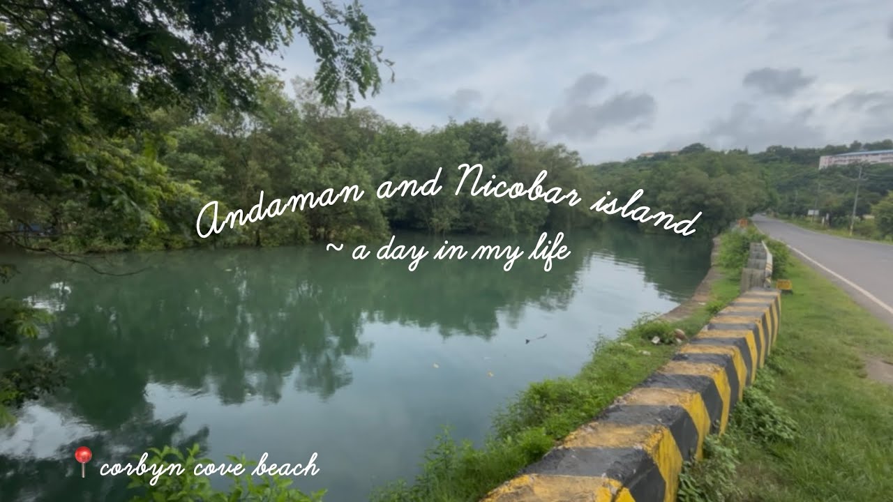A day in my life/ life in Andaman and Nicobar island / ૮ ˶ᵔ ᵕ ᵔ˶ ა