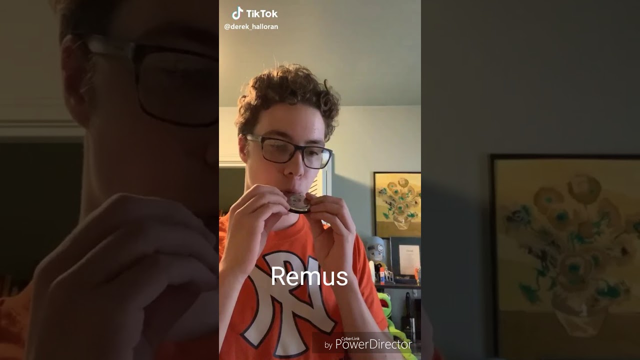Sanders Sides as TikToks I have saved on my phone