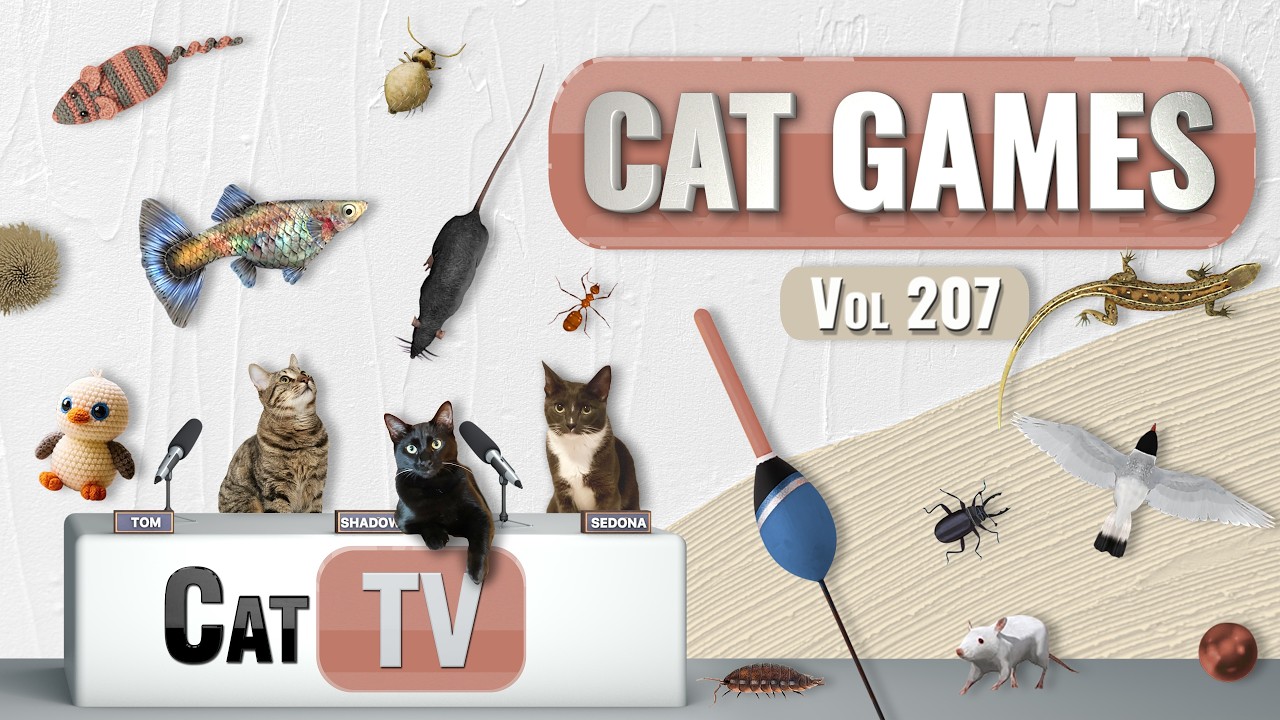 Игры с котами | Подборка лучших кошачьих телепередач, том 207 | 8 часов 🐝🐞🦋🦎🦜🐜🐭🧵