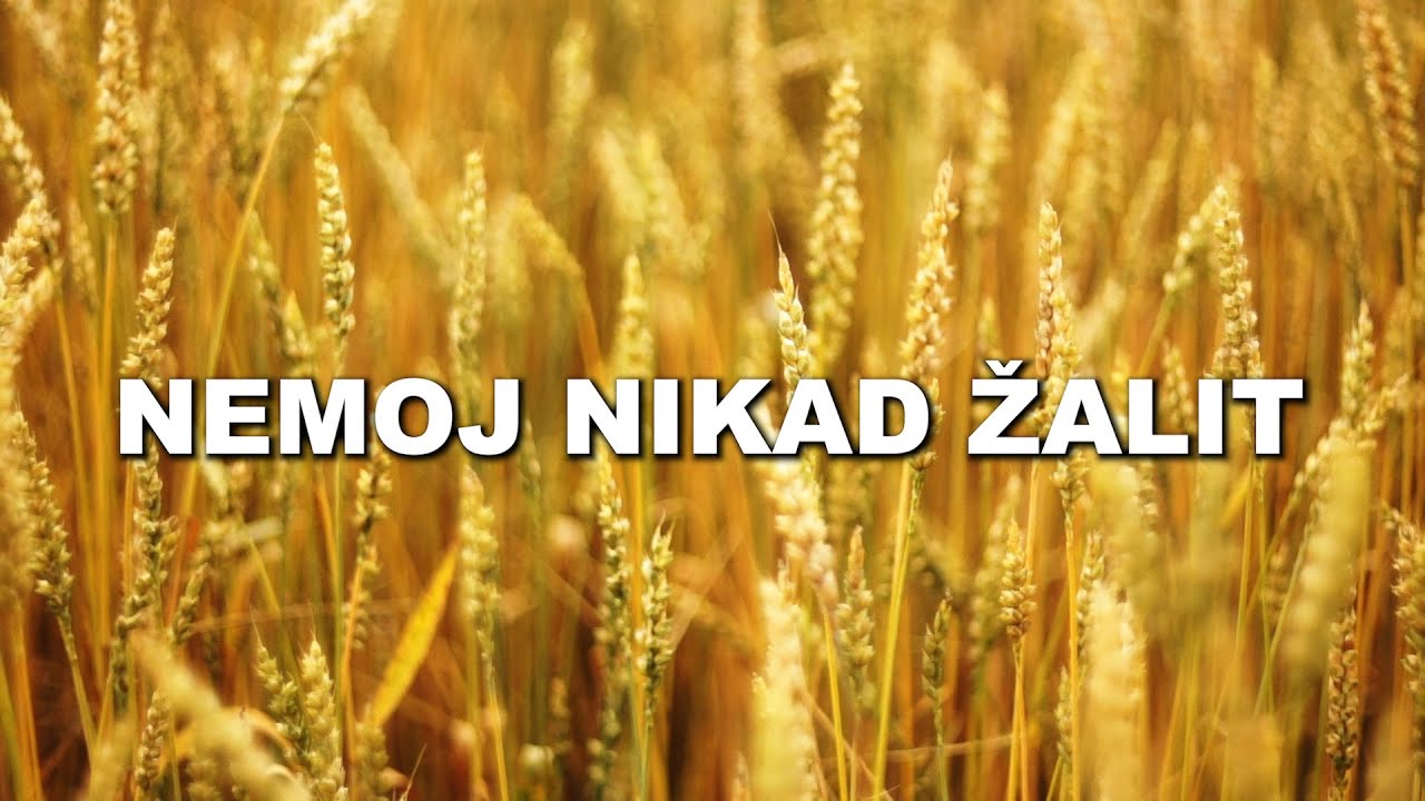Dražen Zečić - Nemoj nikad žaliti (Official lyric video)