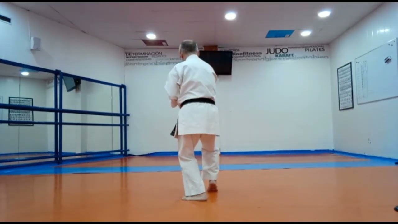Karate - Renbukai   Chintei 🥋🥋🥋