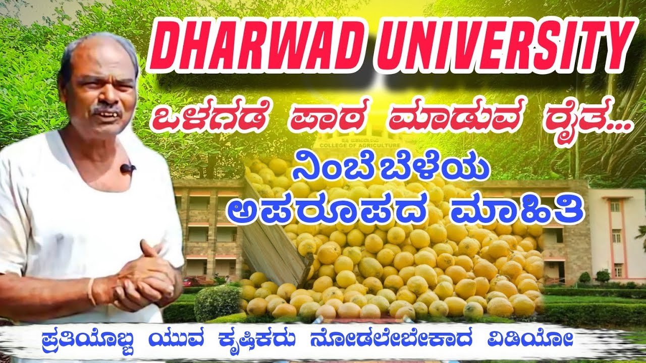 ನಿಂಬೆ income ಹೇಗೆ ತೆಗೆಯಬೇಕು ಇಲ್ಲಿದೆ ಸಾಕ್ಷಿ | Organic farming Business | @Pradeephvk_kannadiga