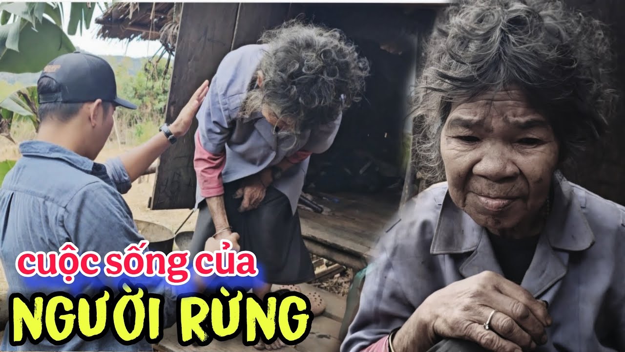 NGƯỜI RỪNG ĐÃ TRẢI QUA NHỮNG Gì?MÀ PHẢI SỐNG TẬN SÂU TRONG RỪNG,KHÔNG AI CHĂM SÓC.