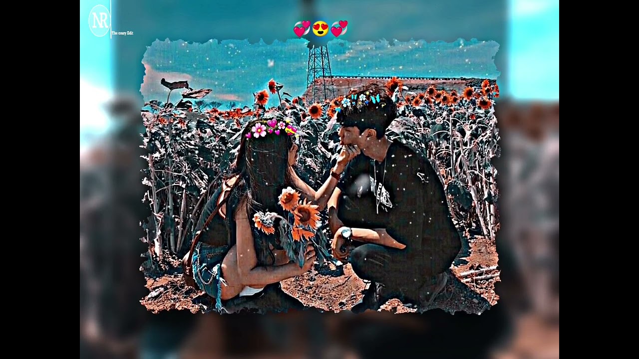 Tum hue meherbaan whatsapp status 💞🥰| viral status 💞|#The crazy Edit 007💞💞🥰|