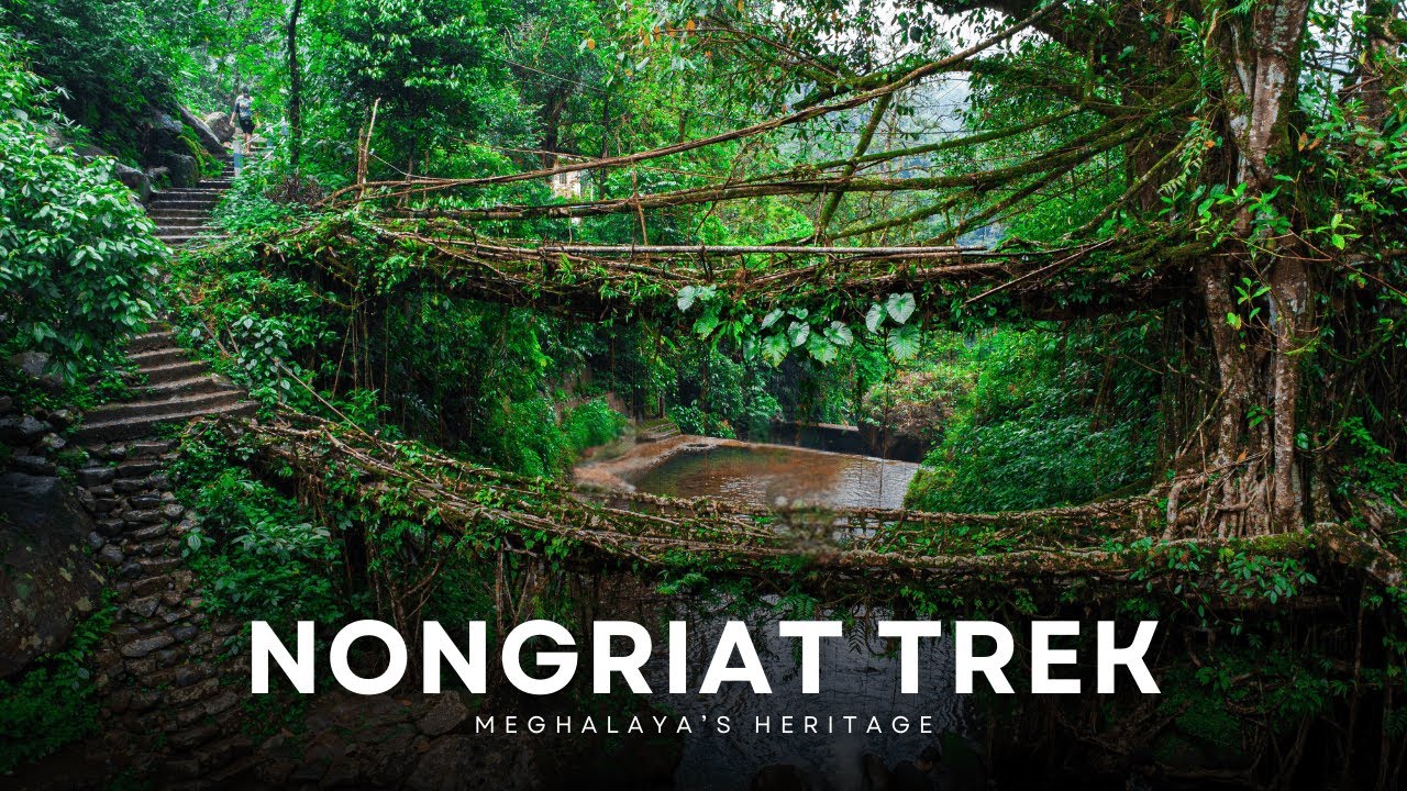 Nongriat Trek | Best Monsoon Trek in East India | Double Decker Living Root Bridge & Rainbow Falls