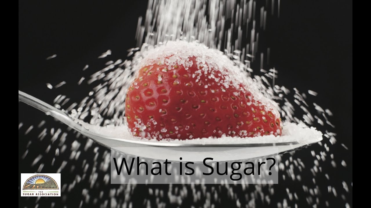 What is Sugar?