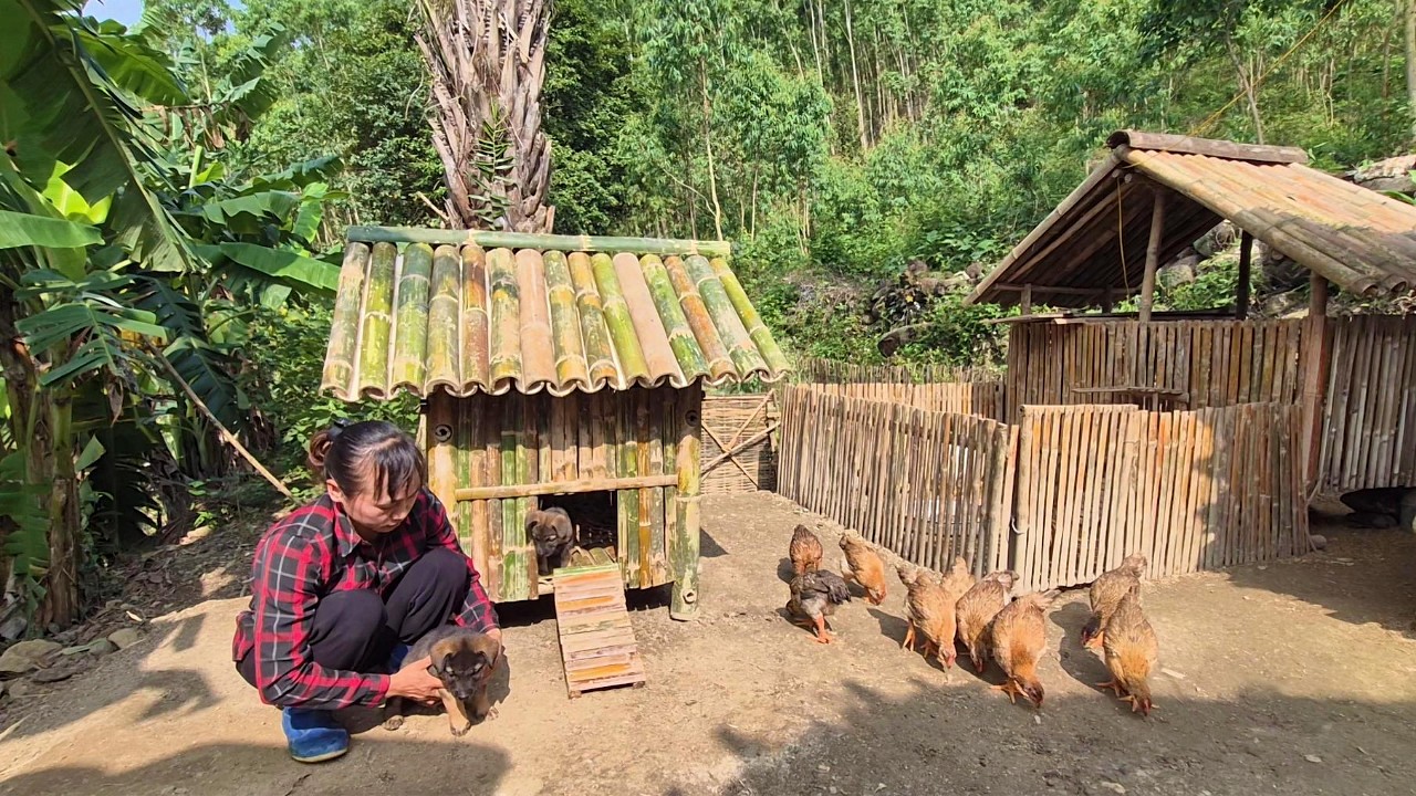 While gathering herbs, the girl unexpectedly encountered two puppies in the old forest.