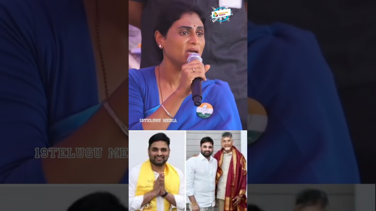 ys Sharmila serious on cm chandrababu naidu and putta mahesh tdp mp #yssharmila #apcongress #news
