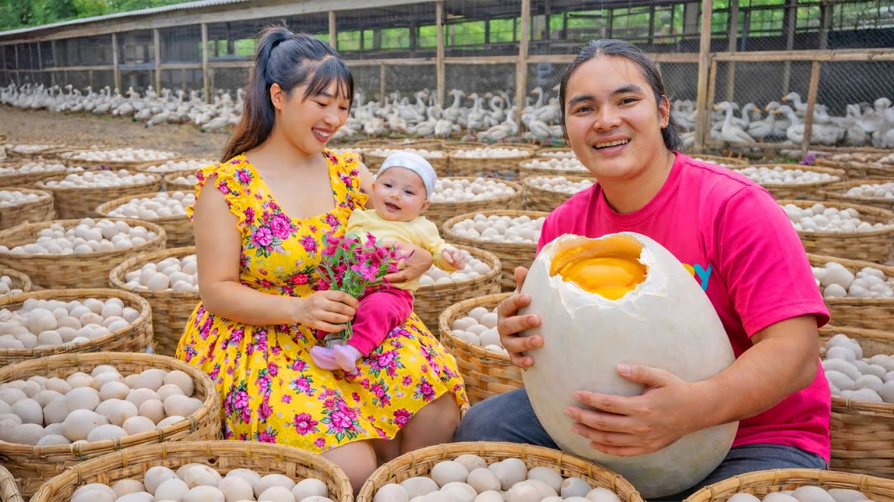 Harvesting Duck Eggs & Taking Them to the Market to Sell - Cooking | SURVIVAL ALONE